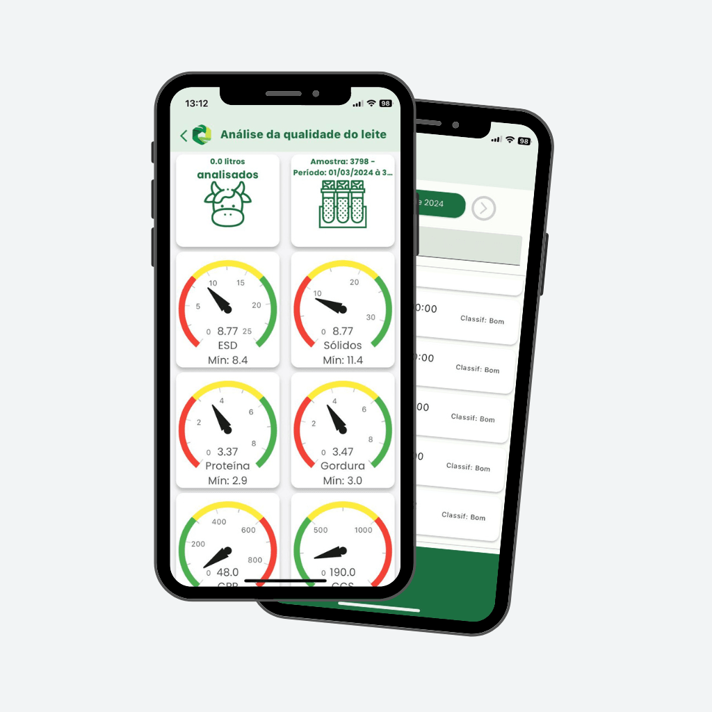 Dashboard Interativo