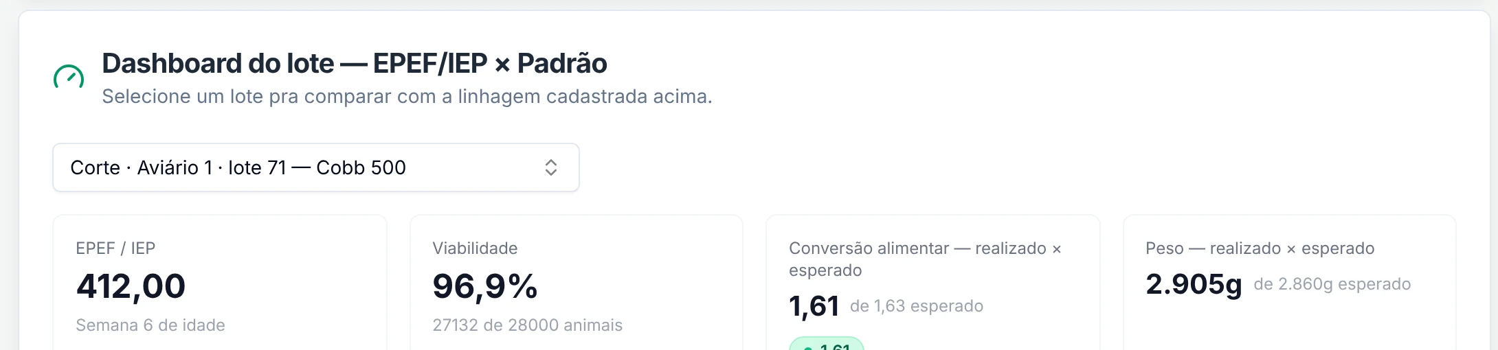 Dashboard do lote de corte com EPEF/IEP, viabilidade, conversão alimentar e peso realizados contra o esperado