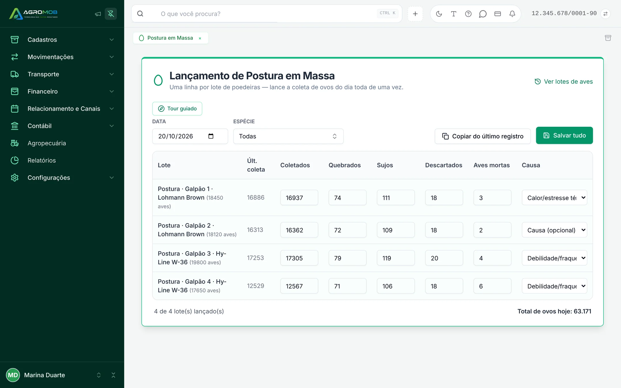 Lançamento de postura em massa, com uma linha por lote e colunas de coletados, quebrados, sujos, descartados, aves mortas e causa