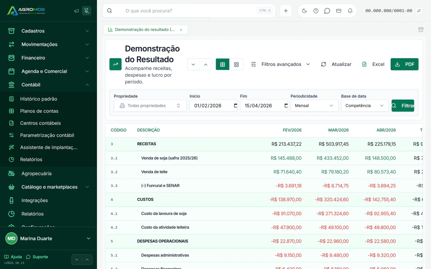 Demonstração do resultado com receitas, custos e despesas por mês